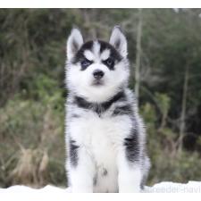 オンライン見学