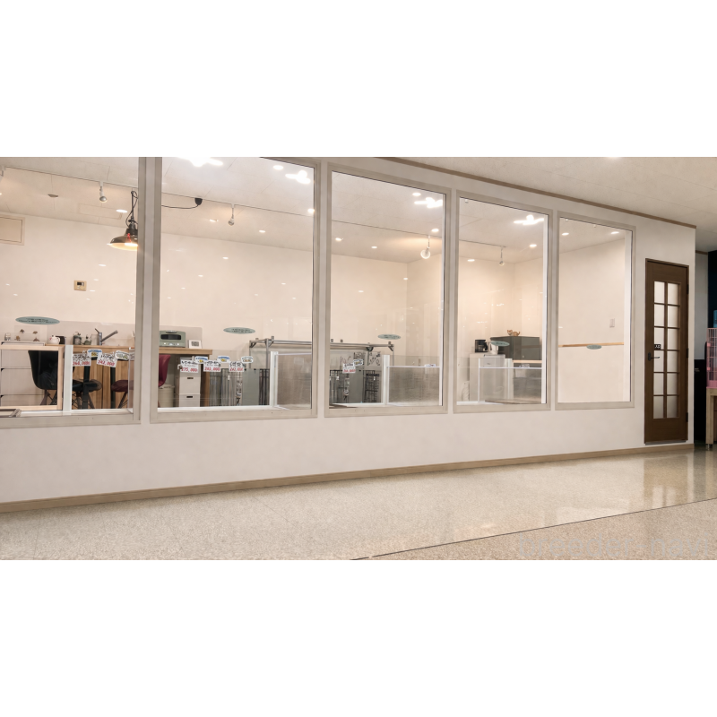 犬舎紹介の山形県の犬舎紹介-5416の2枚目