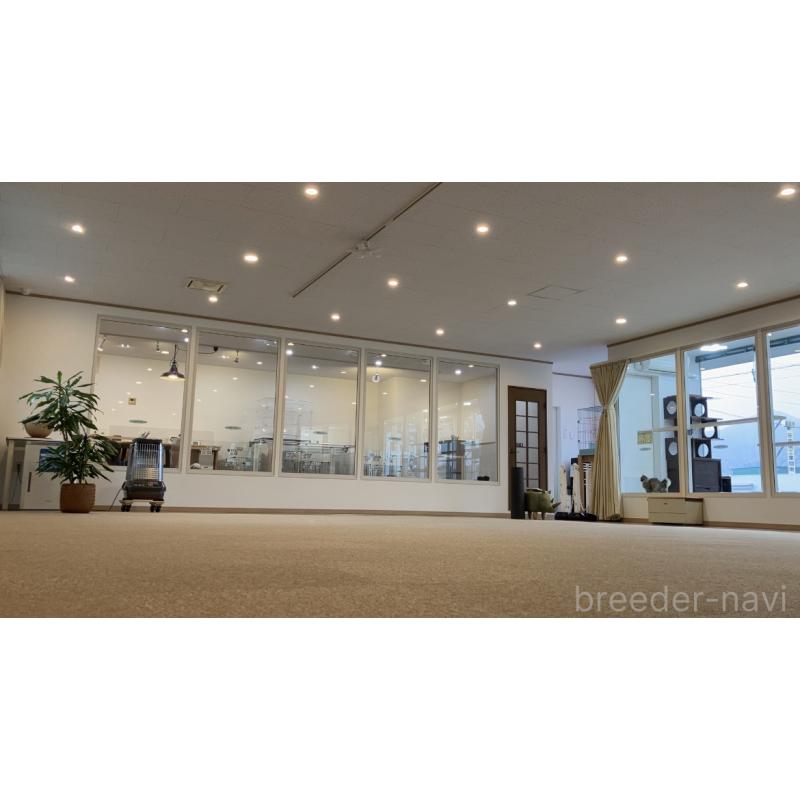 犬舎紹介の山形県の犬舎紹介-5416の3枚目