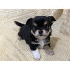 オンライン見学