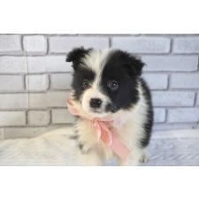 オンライン見学