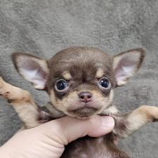 オンライン見学