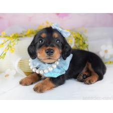 オンライン見学