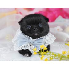 オンライン見学