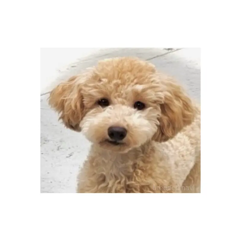 ライムちゃん1枚目