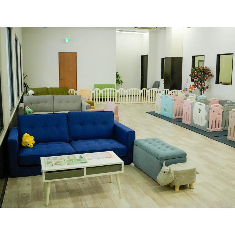 販売中の東京都のマルチーズ-456868の15枚目