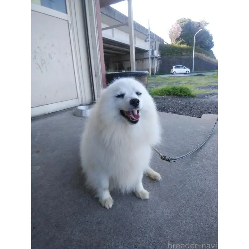 さつきちゃん2枚目