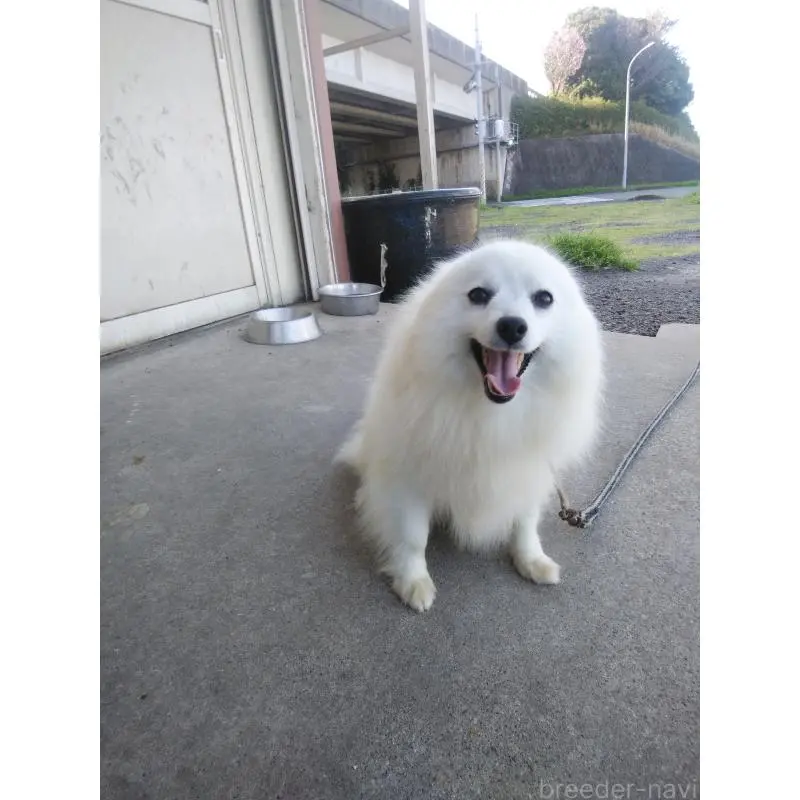 さつきちゃん3枚目