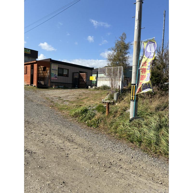 販売中の北海道のチワワ(ロングコート)-456897の2枚目