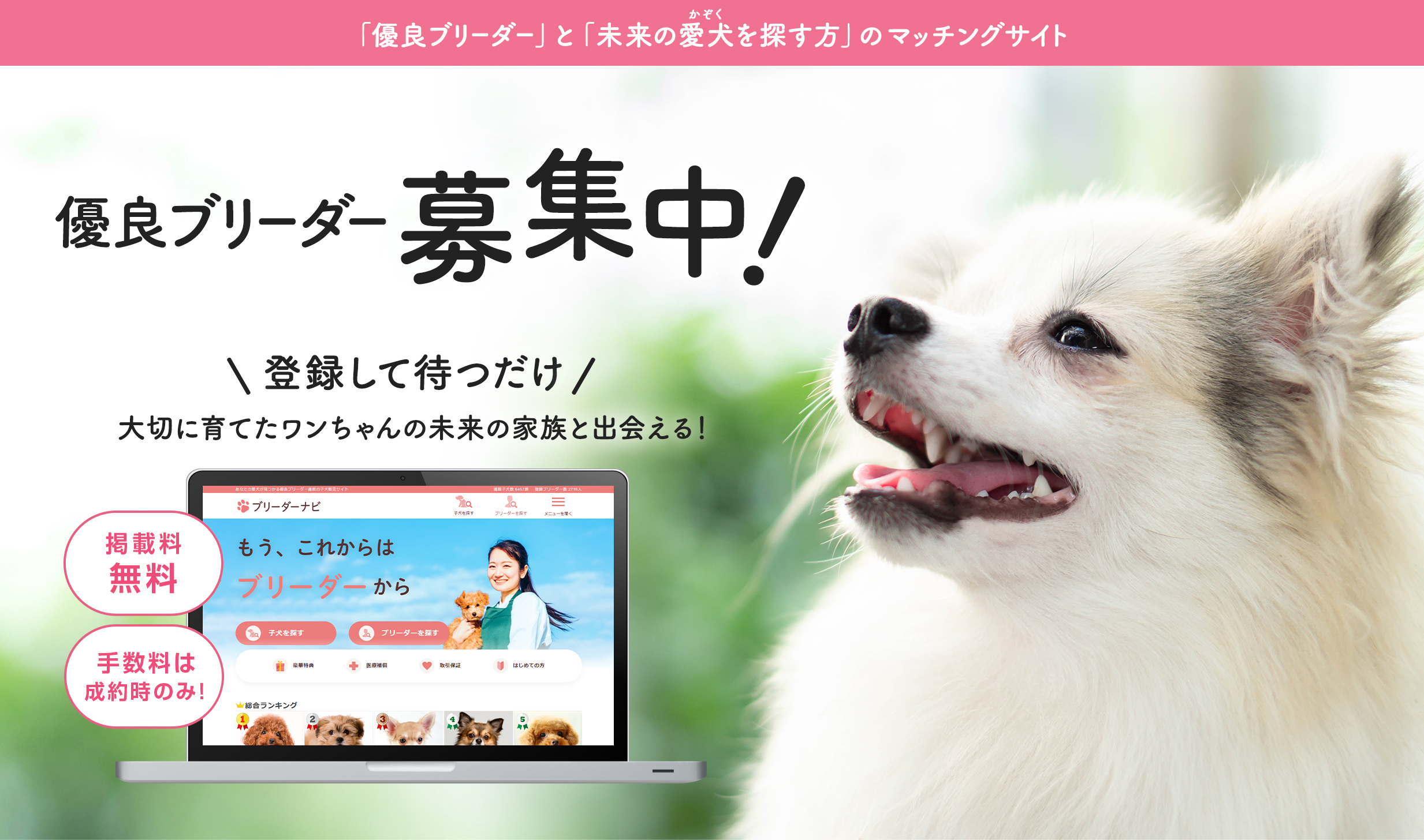 優良ブリーダー募集中!掲載料無料!手数料は成約時のみ!