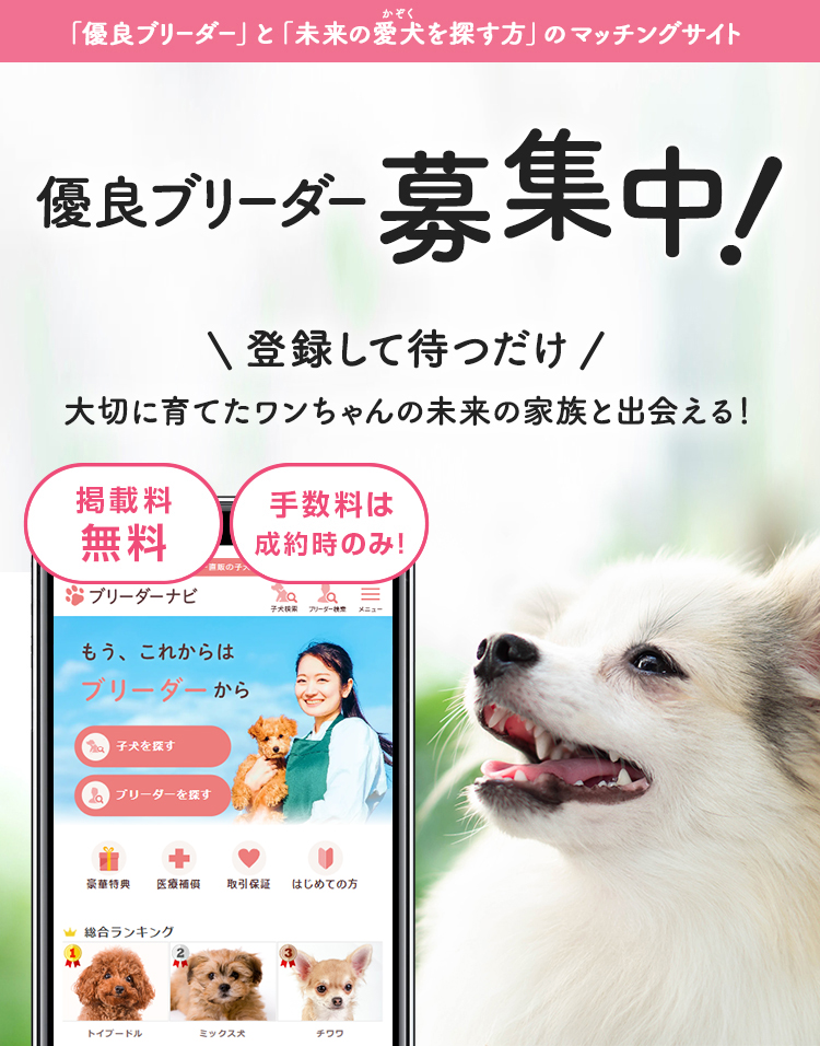 ブリーダー登録申請について ブリーダーナビ