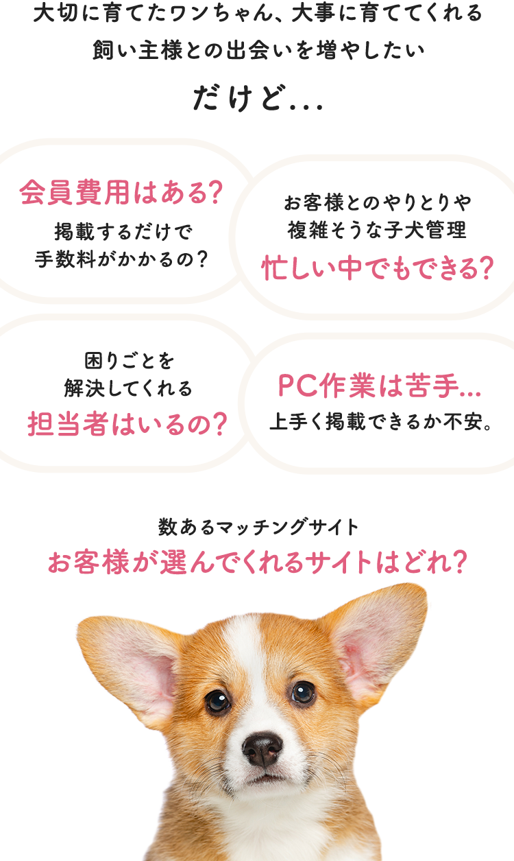 大切に育てたワンちゃん、
大事に育ててくれる飼い主様との出会いを増やしたいけど...上手く掲載できるか不安