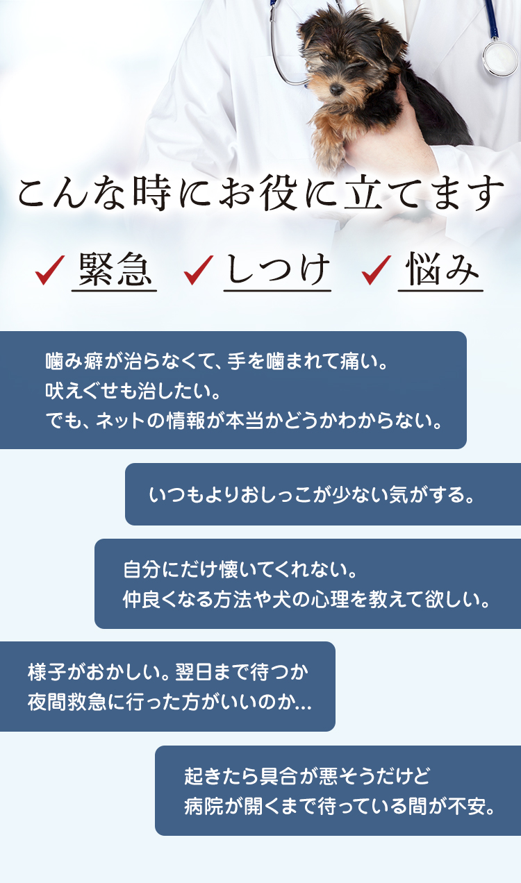 こんな時にお役に立てます 緊急・しつけ・悩み