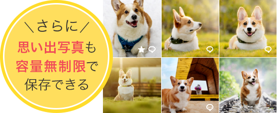 さらに思い出写真も容量無制限で保存できる