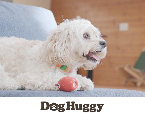 DogHuggy