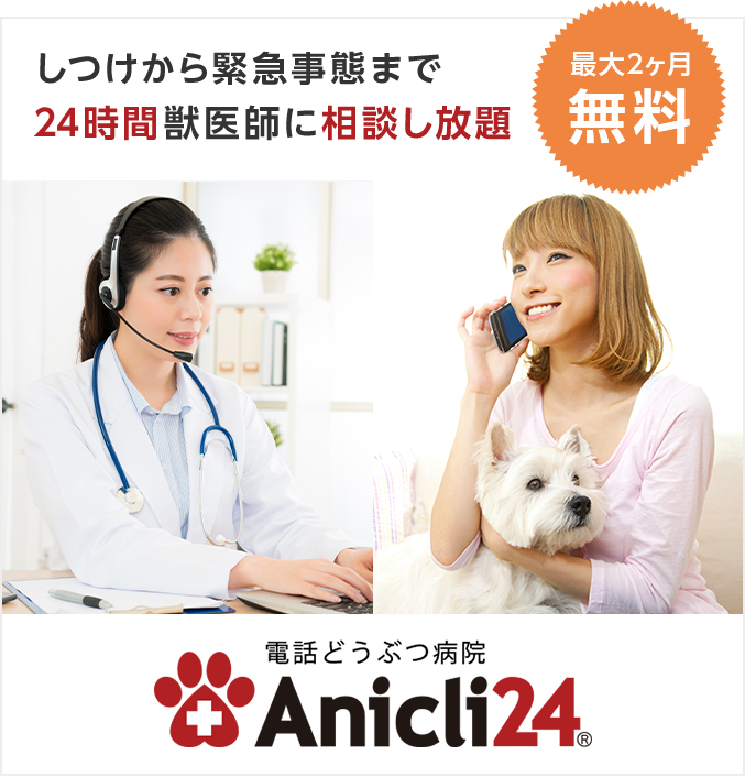 電話どうぶつ病院Anicli24