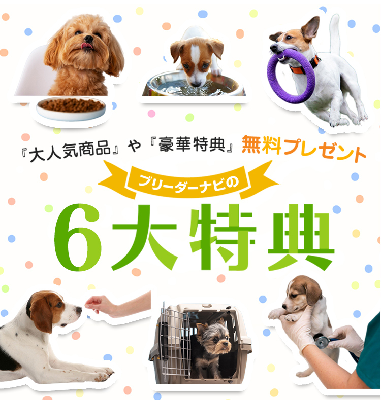 成約者に豪華ご成約特典プレゼント!｜ブリーダーナビ