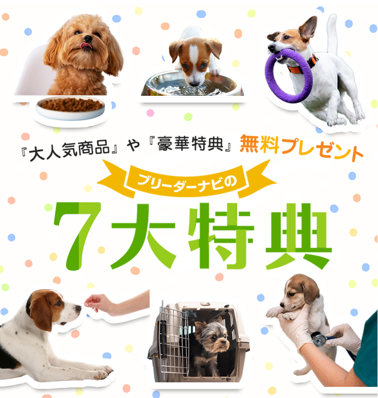 ブリーダーナビの6大特典