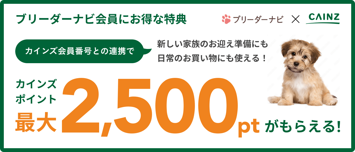ペット用品サイトPEPPY(ペピイ)で好きなものを自由に選べる