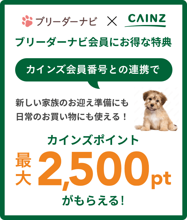 ペット用品サイトPEPPY(ペピイ)で好きなものを自由に選べる