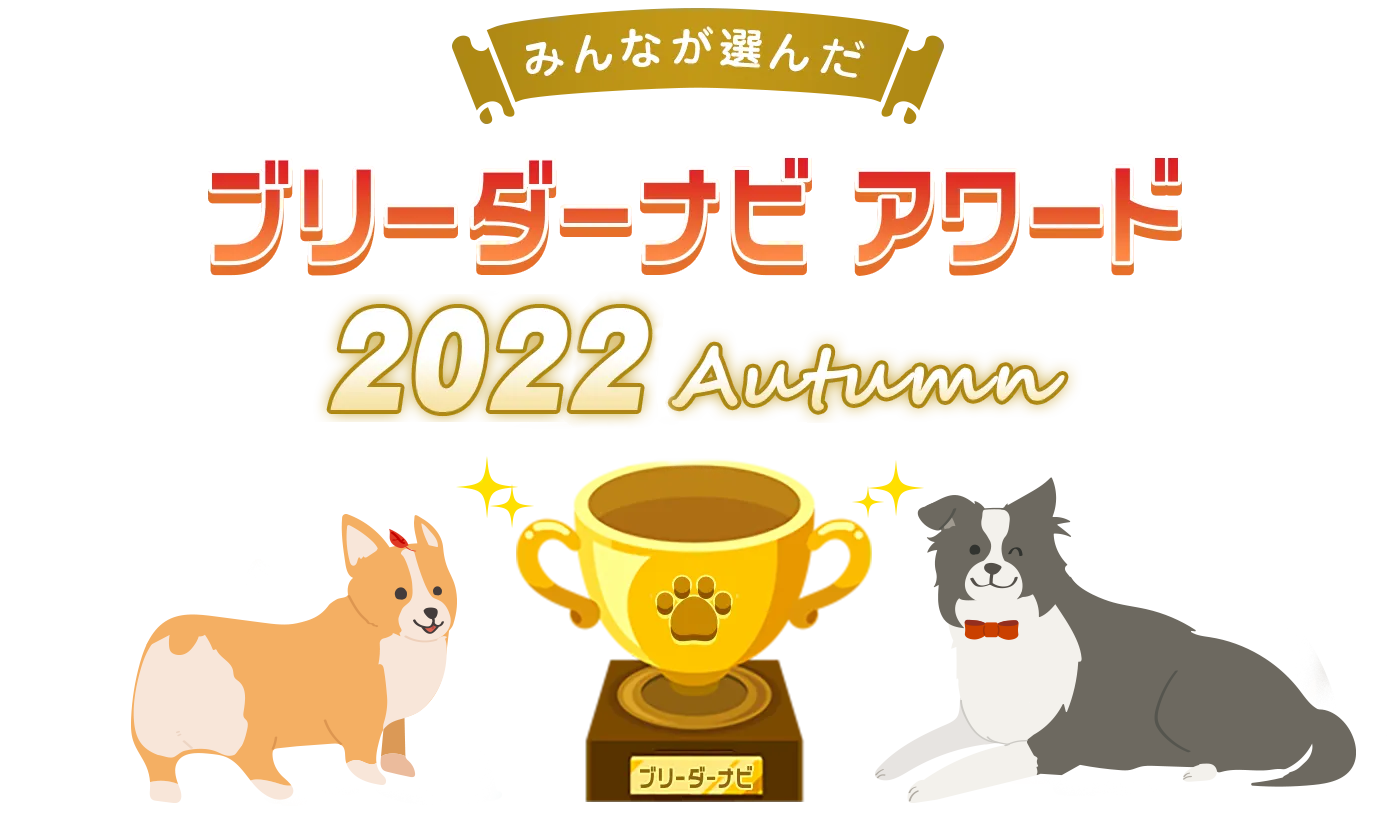 みんなが選んだブリーダーナビ アワード 2022autumn人気犬種部門 ミニチュアダックスフンド(ロングヘアード)