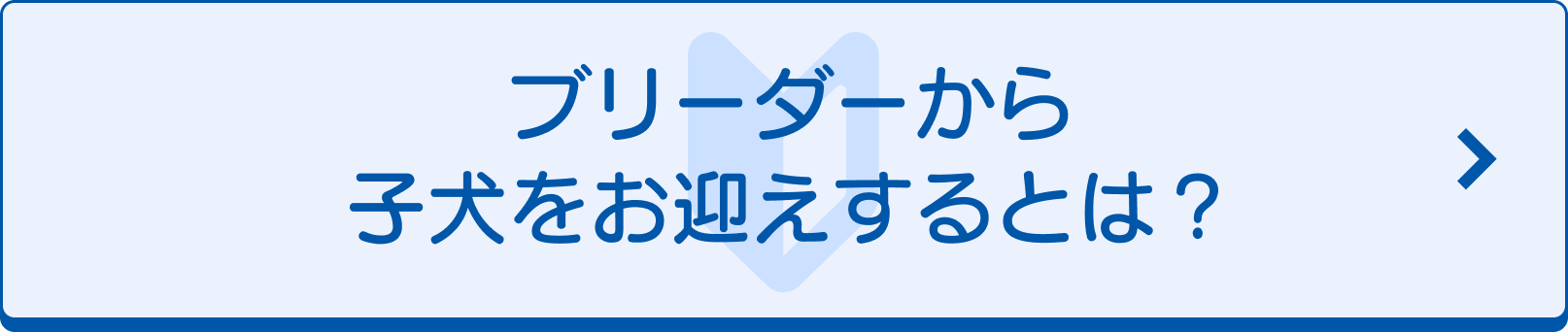 ブリーダーナビを初めてご利用される方へ