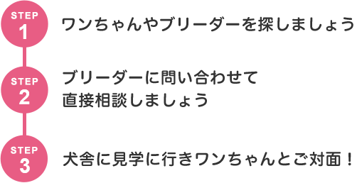 見学までの流れ