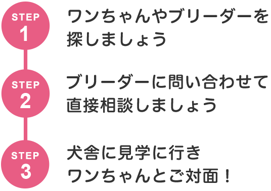 見学までの流れ