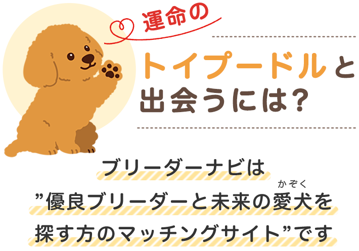 運命のトイプードルを探す ブリーダーナビ