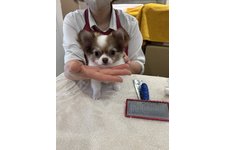 写真46586_1