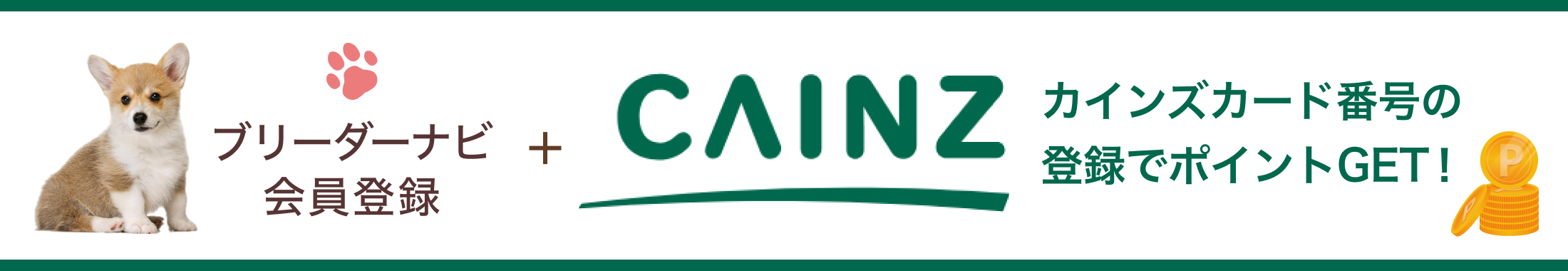 カインズバナー