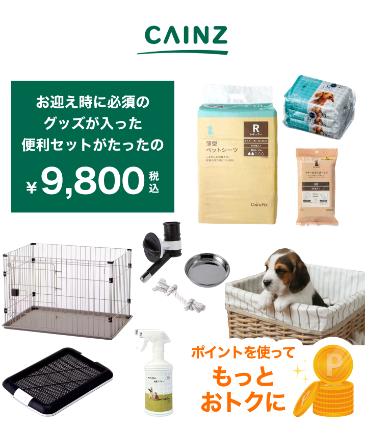 ペット用品サイトPEPPY(ペピイ)で好きなものを自由に選べる